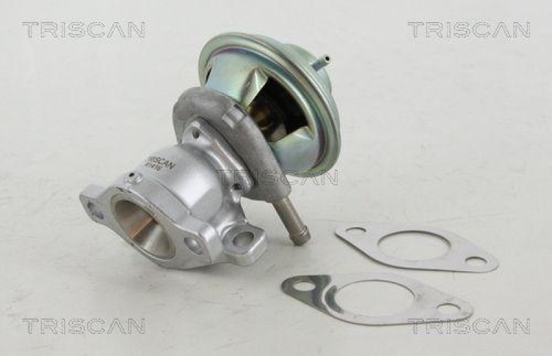 TRISCAN 8813 15029 Agr Ventil für Fiat/Psa