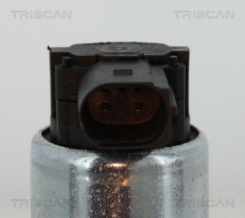 TRISCAN 8813 15052 Agr Ventil für Fiat/Psa