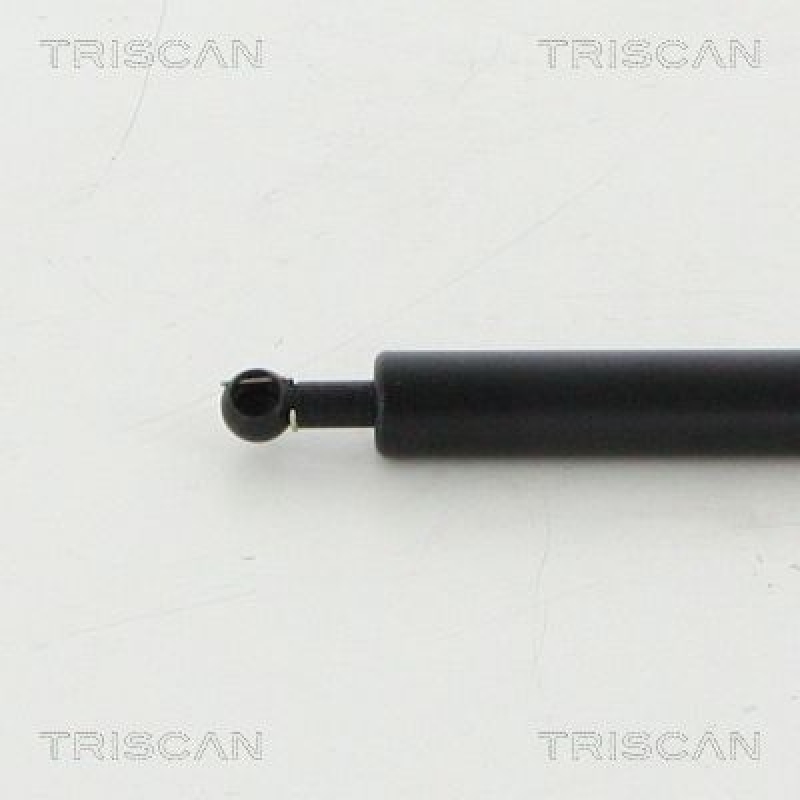 TRISCAN 8710 16105 Gasfeder Vorne für Ford Mondeo