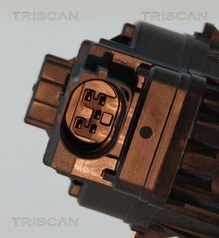 TRISCAN 8813 15208 Agr Ventil für Fiat