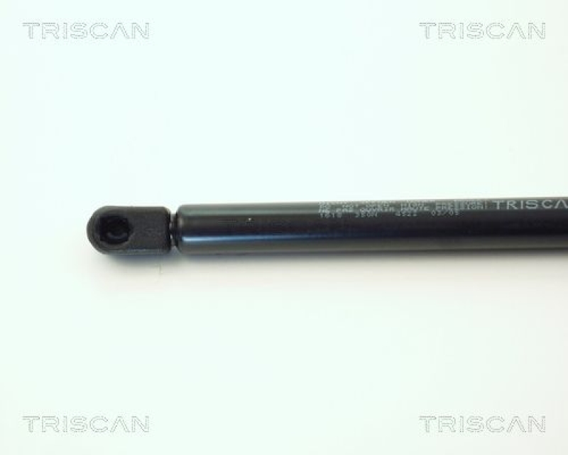 TRISCAN 8710 1618 Gasfeder Hinten für Ford Fiesta Ii