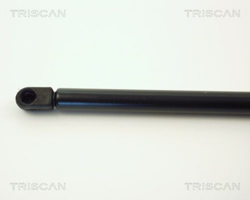 TRISCAN 8710 1620 Gasfeder Hinten für Ford Fiesta Iii