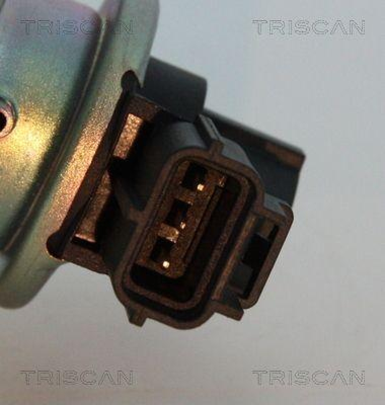 TRISCAN 8813 16012 Agr Ventil für Ford/Volvo/Mazda