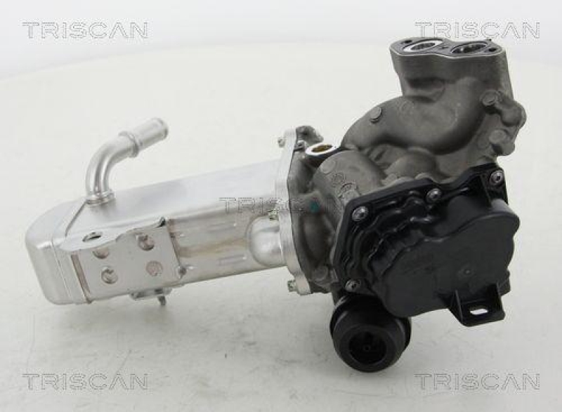 TRISCAN 8813 16014 Agr Ventil für Ford/Volvo/Mazda