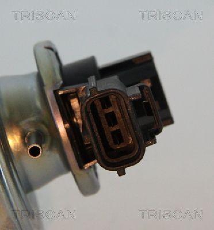 TRISCAN 8813 16043 Agr Ventil für Ford/Volvo/Mazda