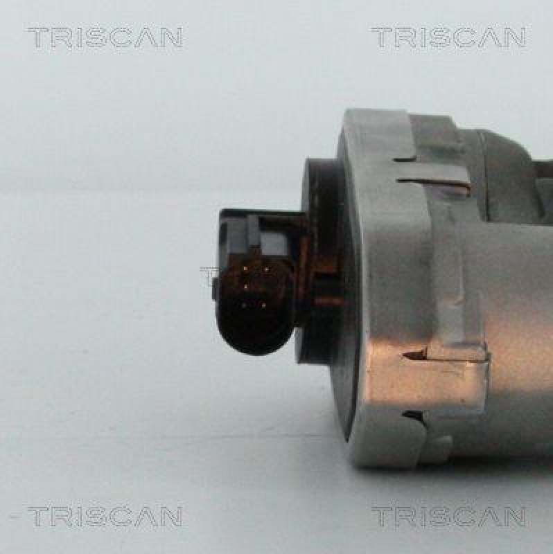 TRISCAN 8813 16101 Agr Ventil für Ford