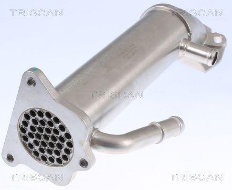 TRISCAN 8813 16109 Kühler, Abgasrückführung für Ford