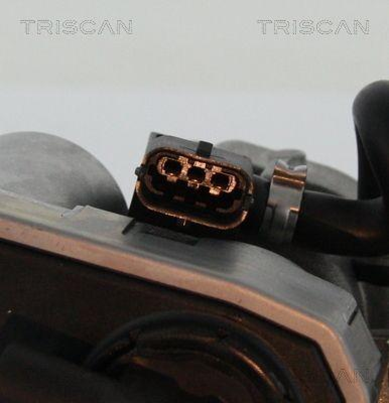 TRISCAN 8813 16202 Agr Ventil für Ford