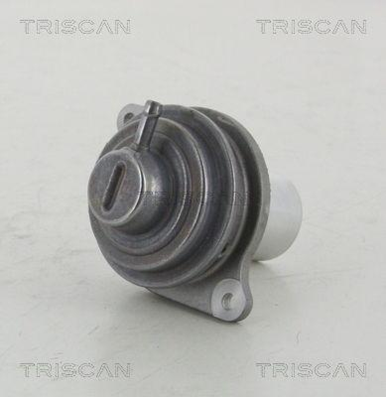 TRISCAN 8813 23207 Agr Ventil für Mercedes