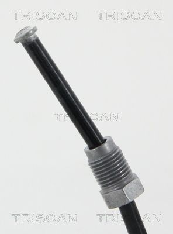 TRISCAN 8150 25267 Bremsschlauch Hinten für Renault