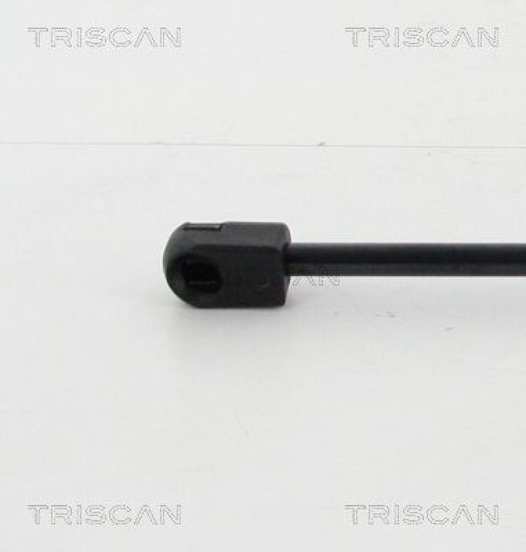 TRISCAN 8710 16260 Gasfeder Hinten für Ford Focus Hatchback