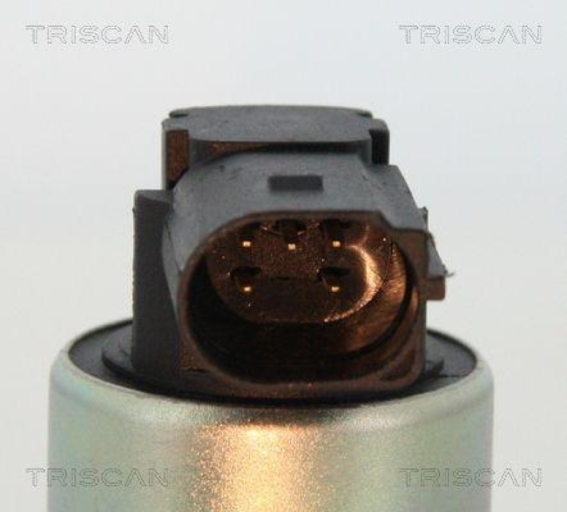 TRISCAN 8813 24003 Agr Ventil für Opel/Fiat/Gm