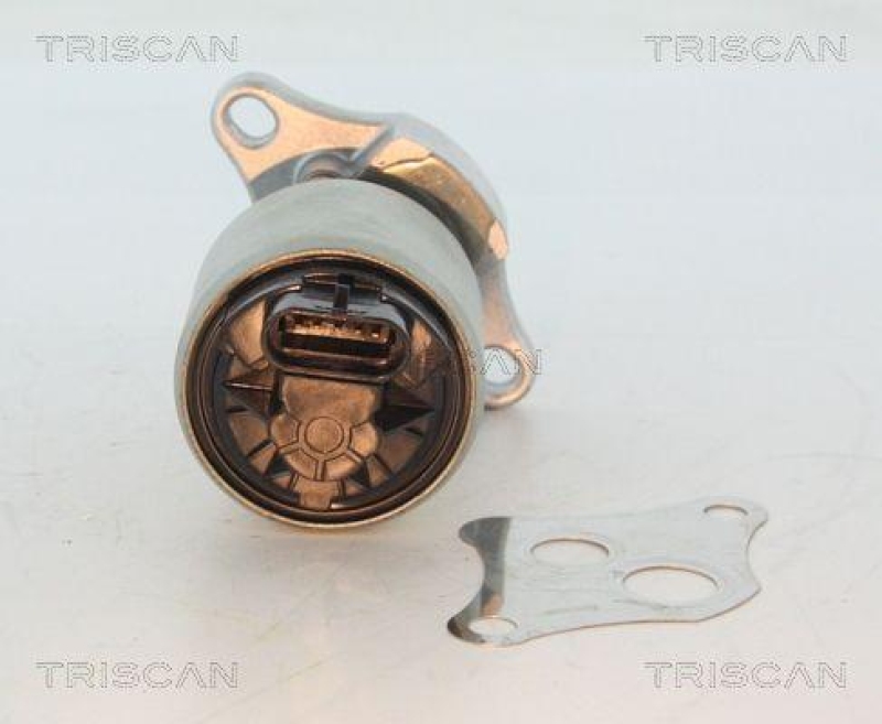 TRISCAN 8813 24004 Agr Ventil für Opel/Saab