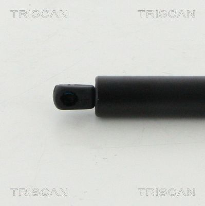 TRISCAN 8710 16273 Gasfeder Hinten für Ford Transit