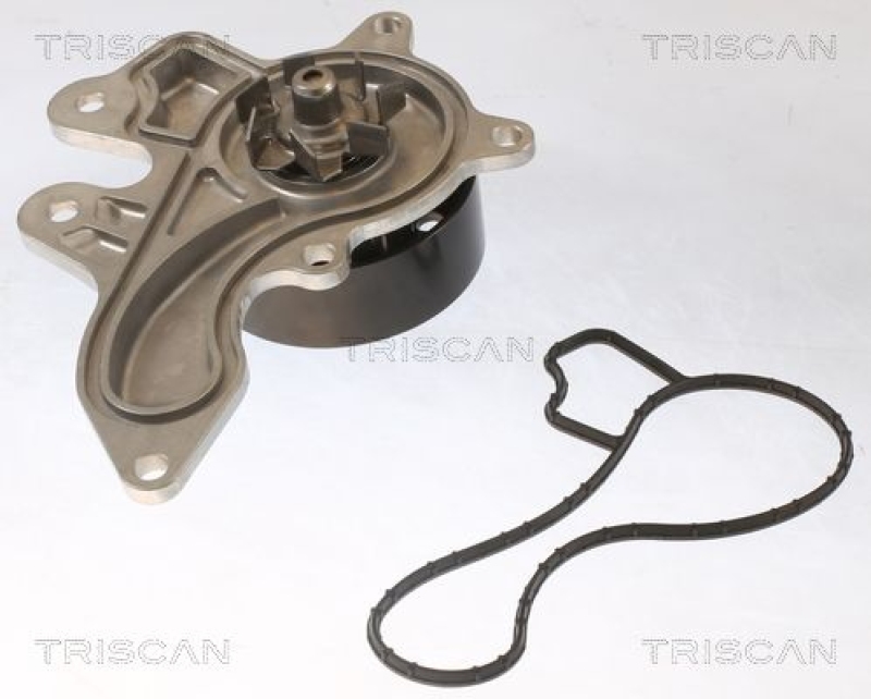 TRISCAN 8600 13053 Wasserpumpe für Toyota