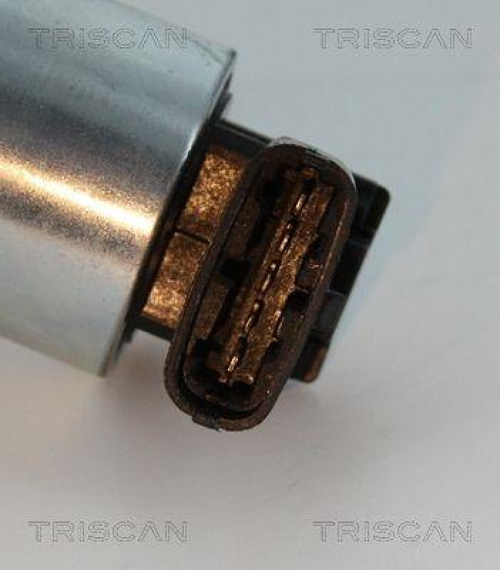 TRISCAN 8813 24102 Agr Ventil für Opel