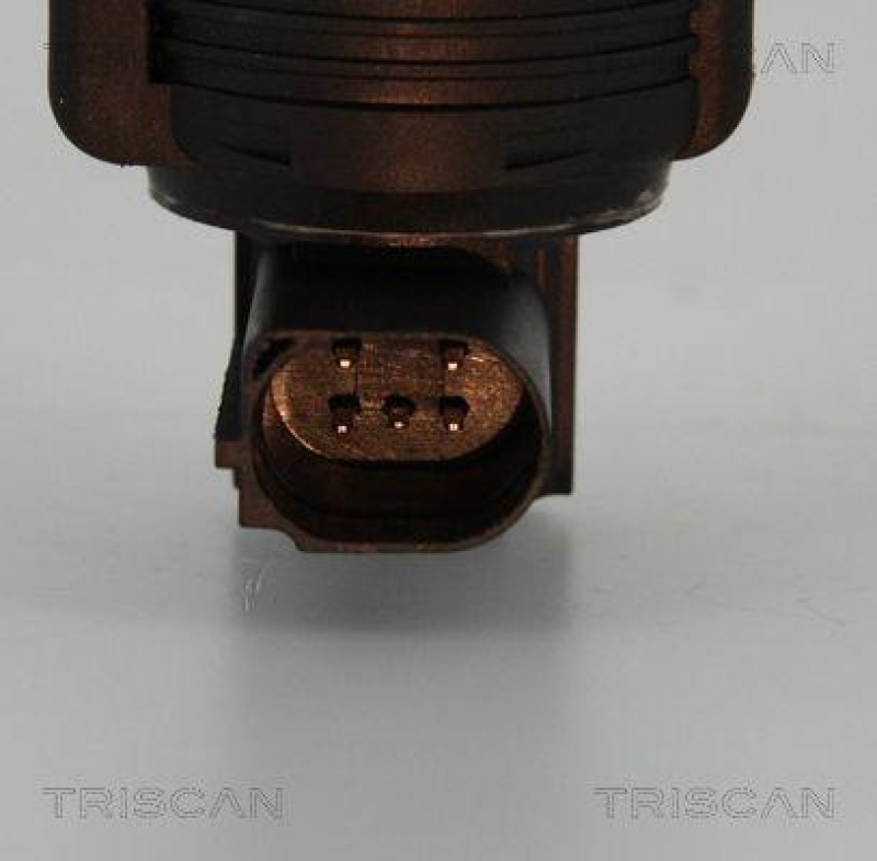 TRISCAN 8813 25005 Agr Ventil für Renault/Dacia