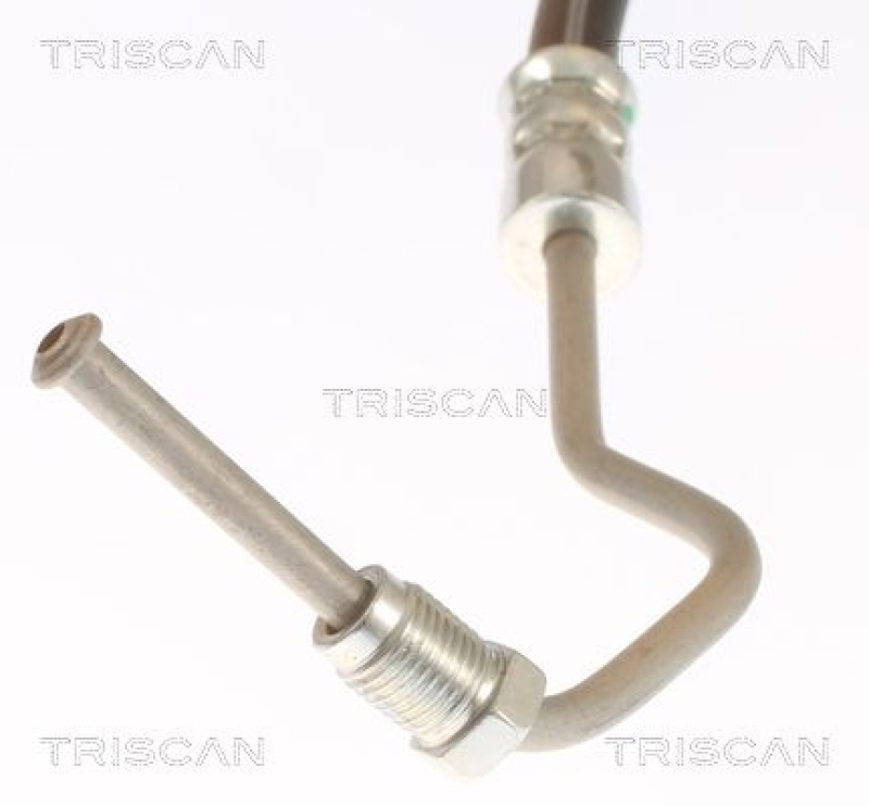 TRISCAN 8150 25286 Bremsschlauch Hinten für Renault