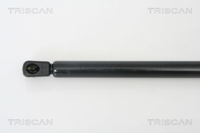 TRISCAN 8710 66202 Gasfeder Hinten für Seat Altea