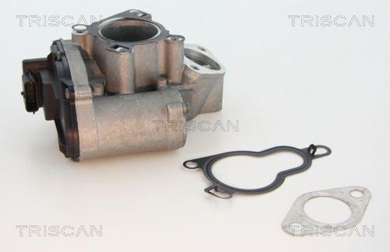 TRISCAN 8813 25203 Agr Ventil für Fiat