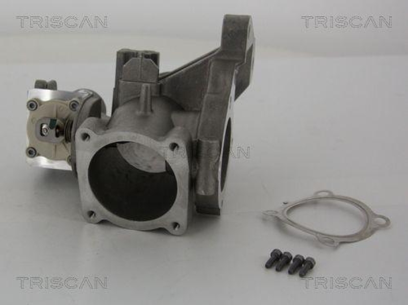 TRISCAN 8813 27001 Agr Ventil für Volvo/Ford