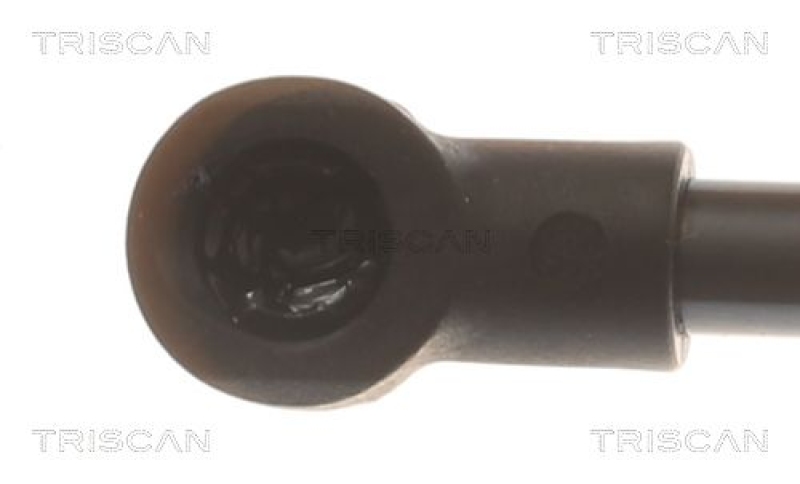 TRISCAN 8710 16306 Gasfeder Hinten für Ford