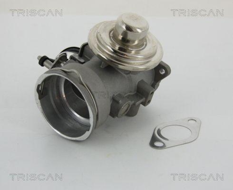 TRISCAN 8813 29040 Agr Ventil für Vag