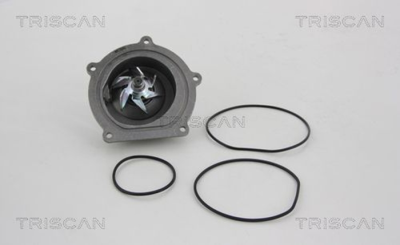 TRISCAN 8600 17011 Wasserpumpe für Landrover