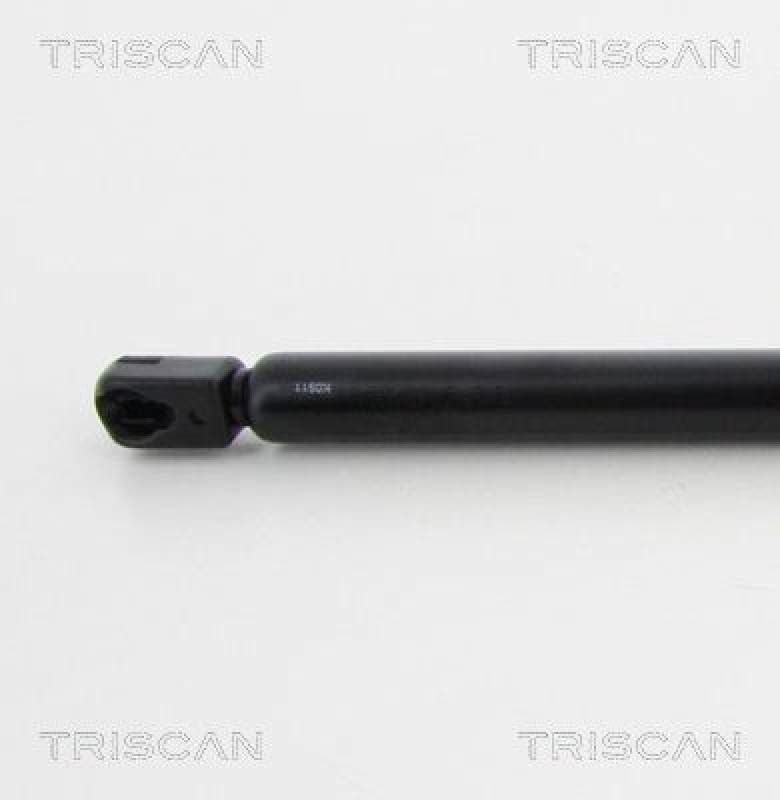 TRISCAN 8710 17218 Gasfeder Hinten für Mini