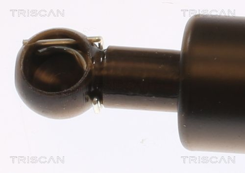 TRISCAN 8710 69216 Gasfeder Hinten für Suzuki Alto Iv