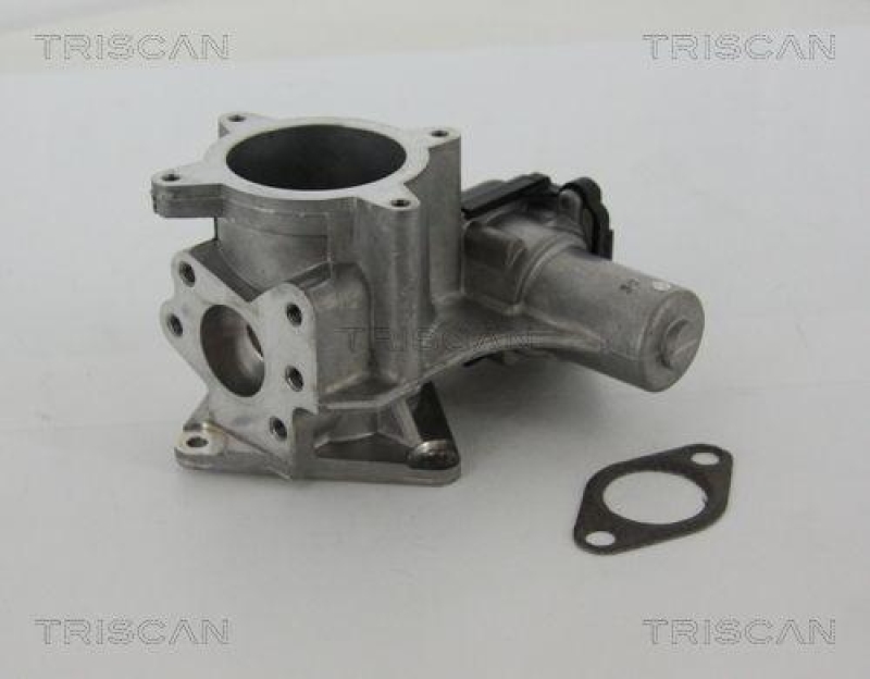 TRISCAN 8813 29105 Agr Ventil für Vw