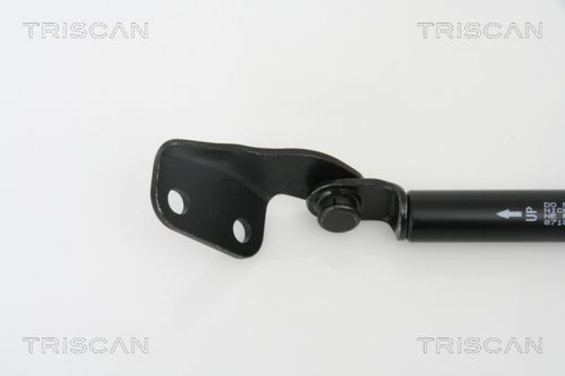 TRISCAN 8710 69217 Gasfeder Hinten für Suzuki Swift Iii Sg