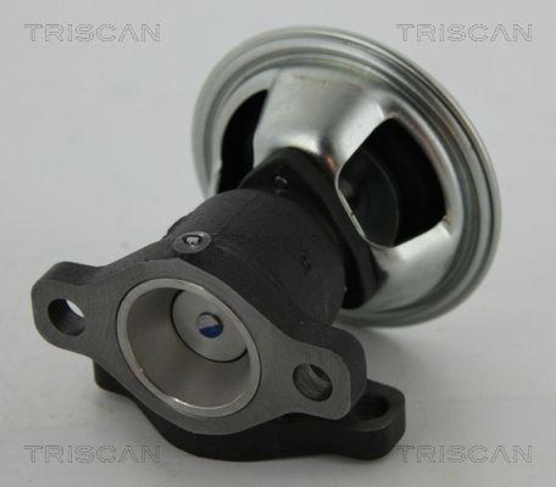 TRISCAN 8813 43022 Agr Ventil für Ssangyong