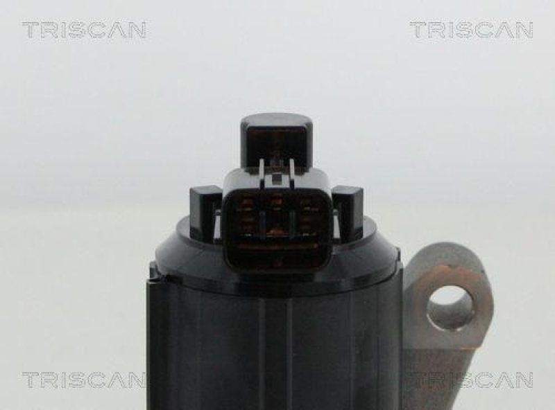 TRISCAN 8813 50015 Agr Ventil für Mazda