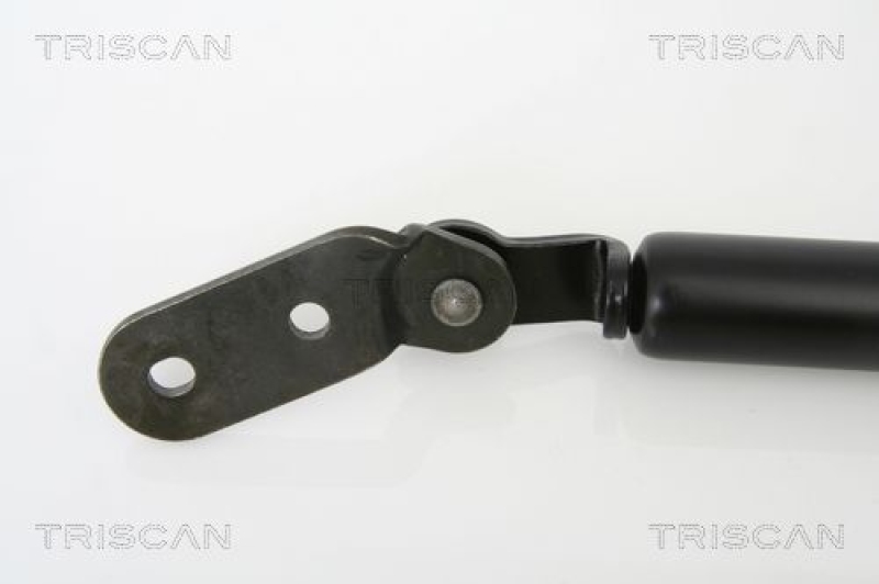 TRISCAN 8710 18216 Gasfeder Hinten für Kia Sportage