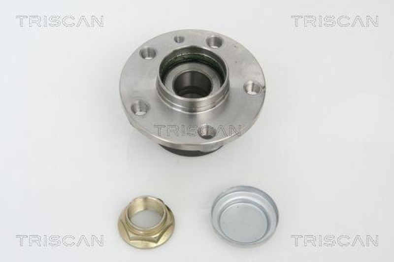 TRISCAN 8530 10258 Radlagersatz Hinten für Citroen, Fiat, Peugeot