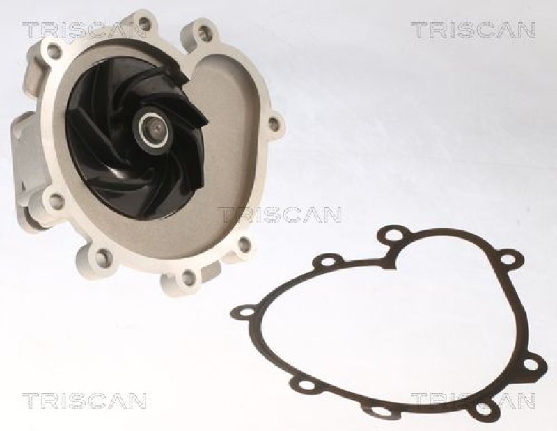 TRISCAN 8600 20009 Wasserpumpe für Porsche