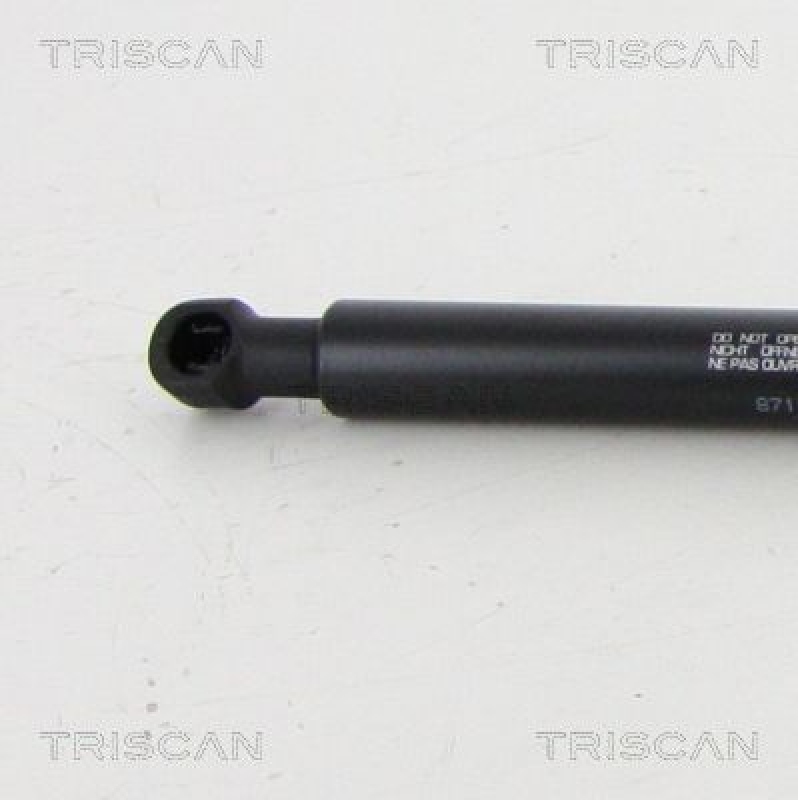 TRISCAN 8710 20209 Gasfeder Hinten für Porsche Cayman