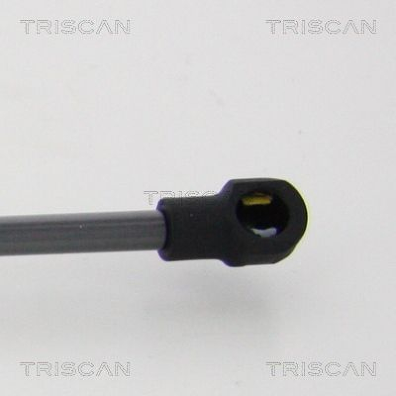 TRISCAN 8710 21215 Gasfeder Hinten für Chevrolet