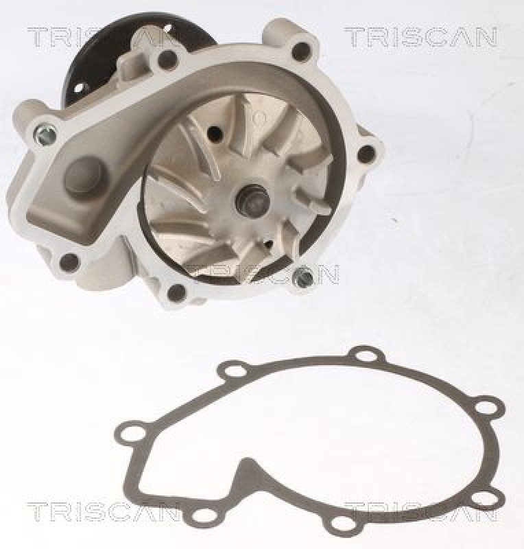 TRISCAN 8600 23091 Wasserpumpe für Ssangyong