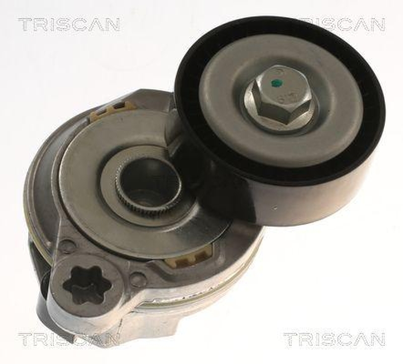 TRISCAN 8641 273005 Spannrolle für Volvo