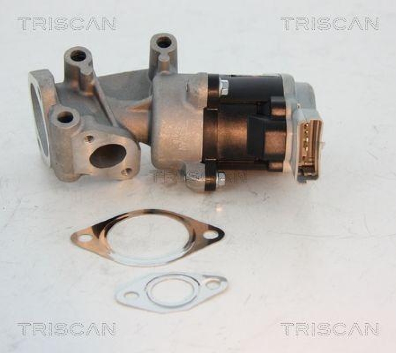 TRISCAN 8813 10008 Agr Ventil für Psa/Fiat/Gm