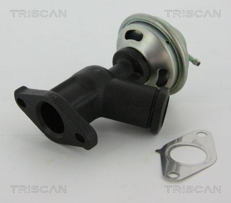 TRISCAN 8813 10011 Agr Ventil für Psa/Fiat/Gm