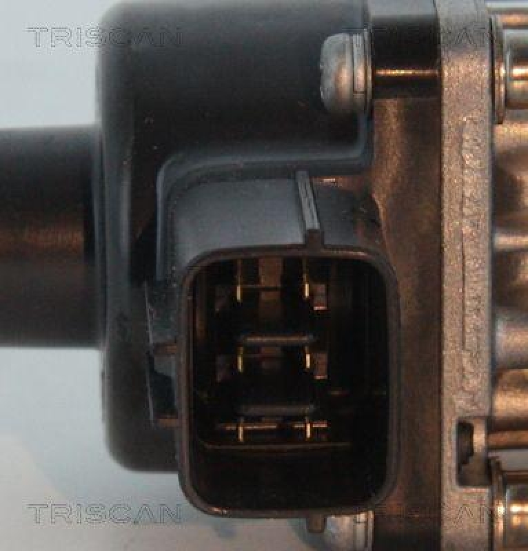 TRISCAN 8813 10013 Agr Ventil für Suzuki/Fiat