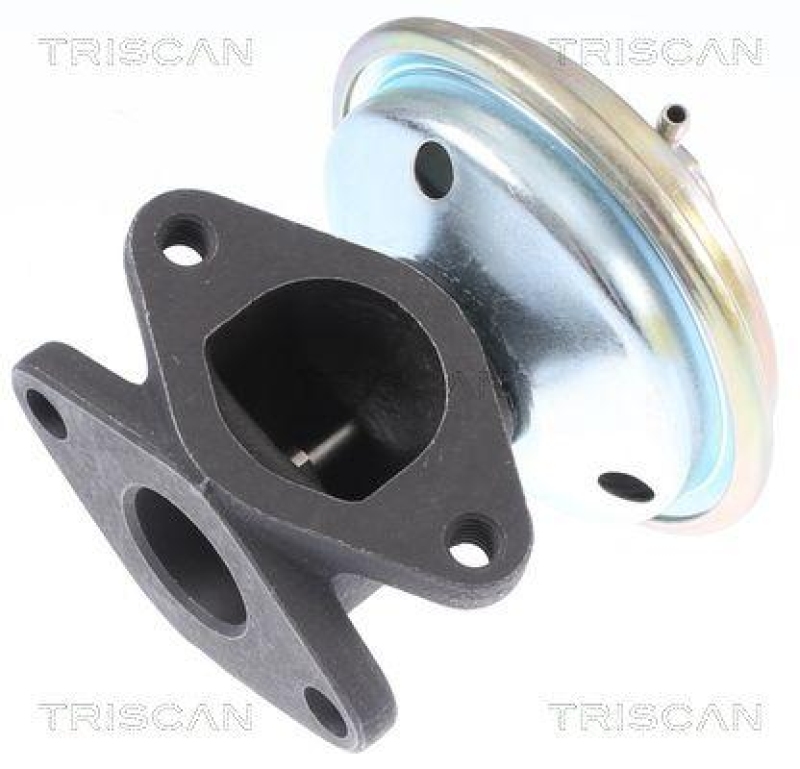 TRISCAN 8813 10033 Agr Ventil für Chrysler Voyager