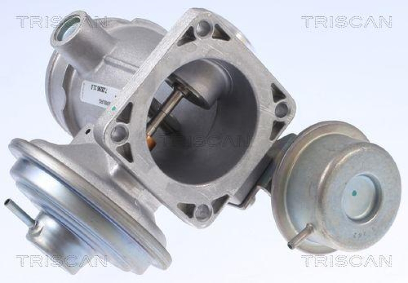 TRISCAN 8813 10034 Agr Ventil für Chrysler Voyager