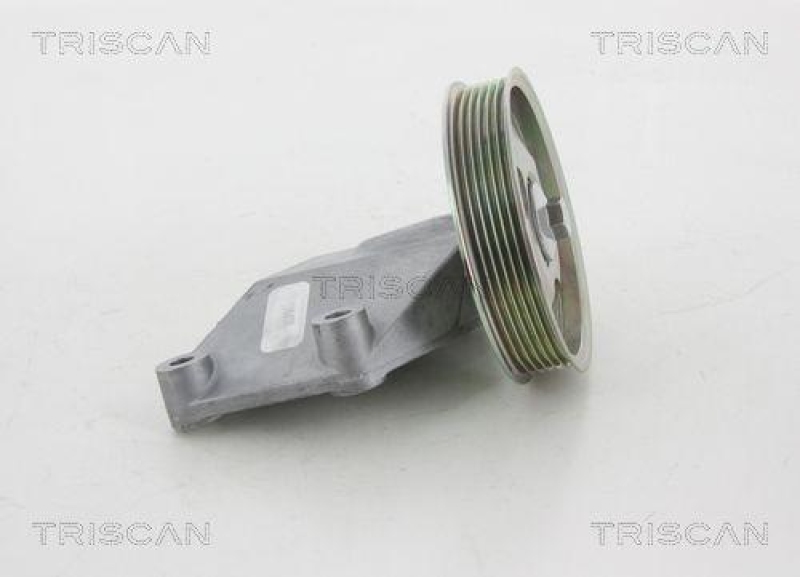 TRISCAN 8641 282021 Umlenkrolle für Citroen