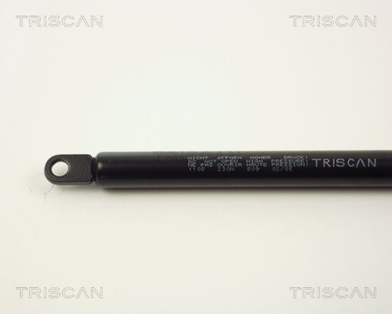 TRISCAN 8710 1108 Gasfeder Vorne für Bmw 6 Serie E24, 7 Serie E