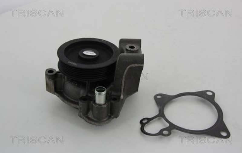 TRISCAN 8600 10031 Wasserpumpe für Psa, Fiat