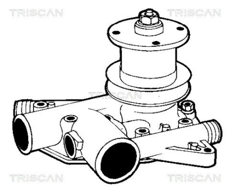 TRISCAN 8600 25080 Wasserpumpe für Renault: R4,R6,